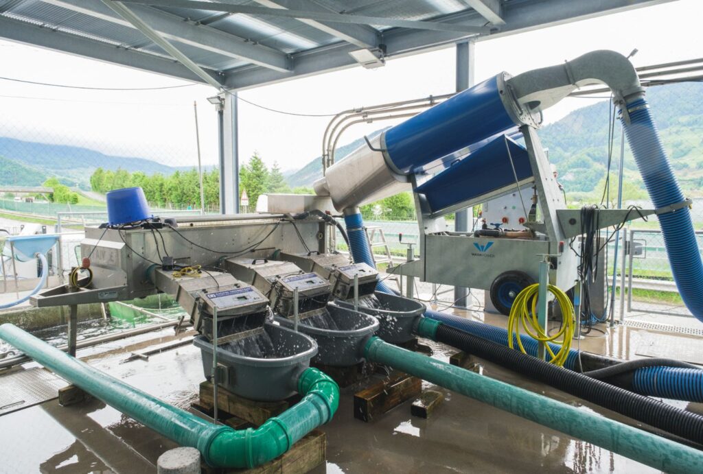 BlueComfort is onze vacuümgebaseerde pomp, ontworpen voor het zacht hanteren van vis. Naast het mooie design vermindert de machine de behoefte aan handmatig werk en werkt vrijwel onderhoudsvrij.