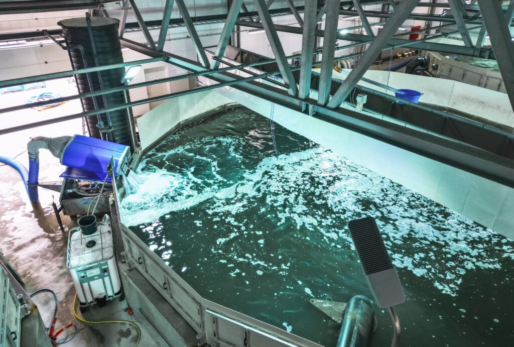 BlueComfort is onze vacuümgebaseerde pomp, ontworpen voor het zacht hanteren van vis. Naast het mooie design vermindert de machine de behoefte aan handmatig werk en werkt vrijwel onderhoudsvrij.